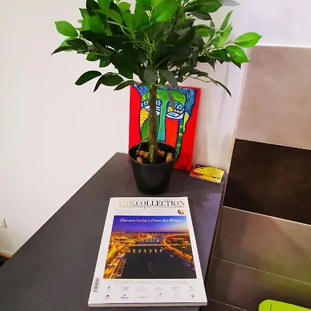 Merkur Luxury Apartman Apartment *